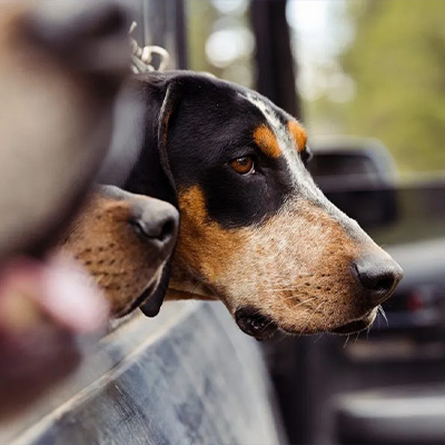Fighting for Hunting & Fishing Rights
